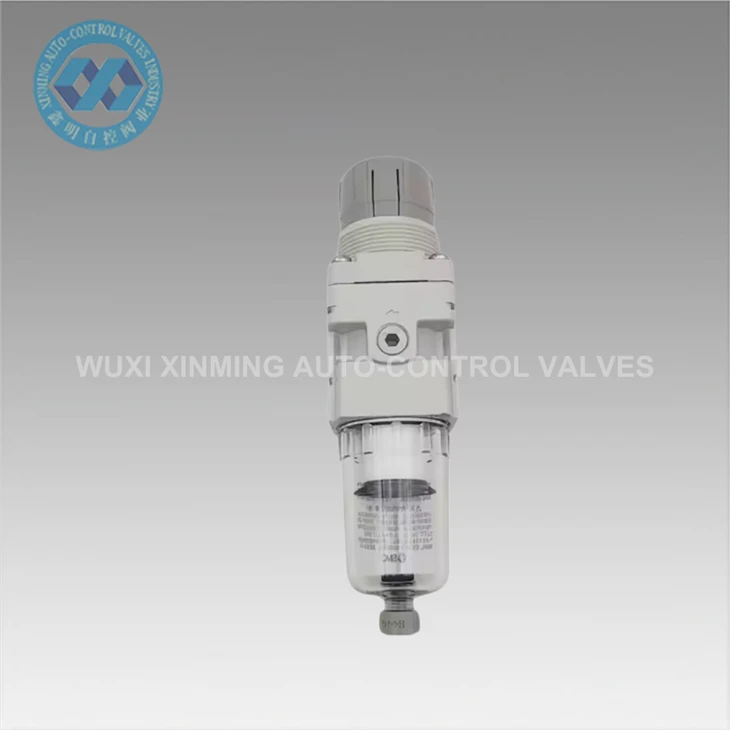99% Impurity Filtration Rate Filter Pressure Reducing Valve
