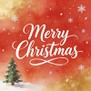 WUXI XINMING AUTO-Control VALVES INDUSTRY CO., LTD.에서 즐거운 크리스마스를 보내세요!